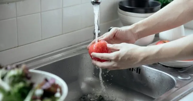 Como escolher purificadores de água ideais para sua casa