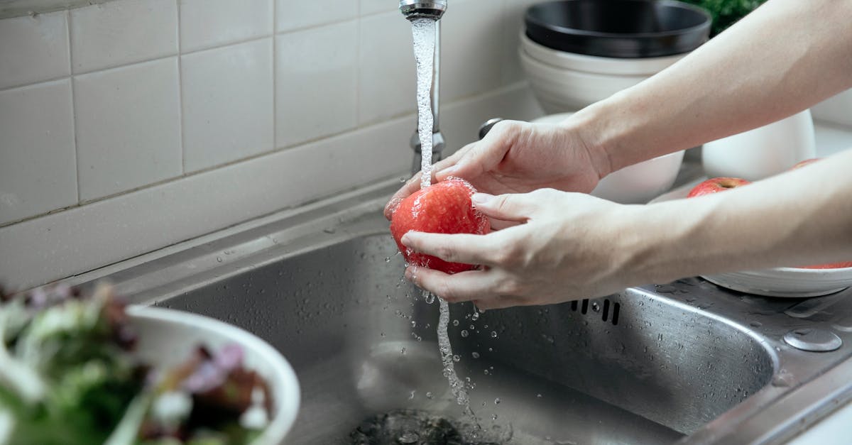 Como escolher purificadores de água ideais para sua casa Como escolher purificadores de água ideais para sua casa